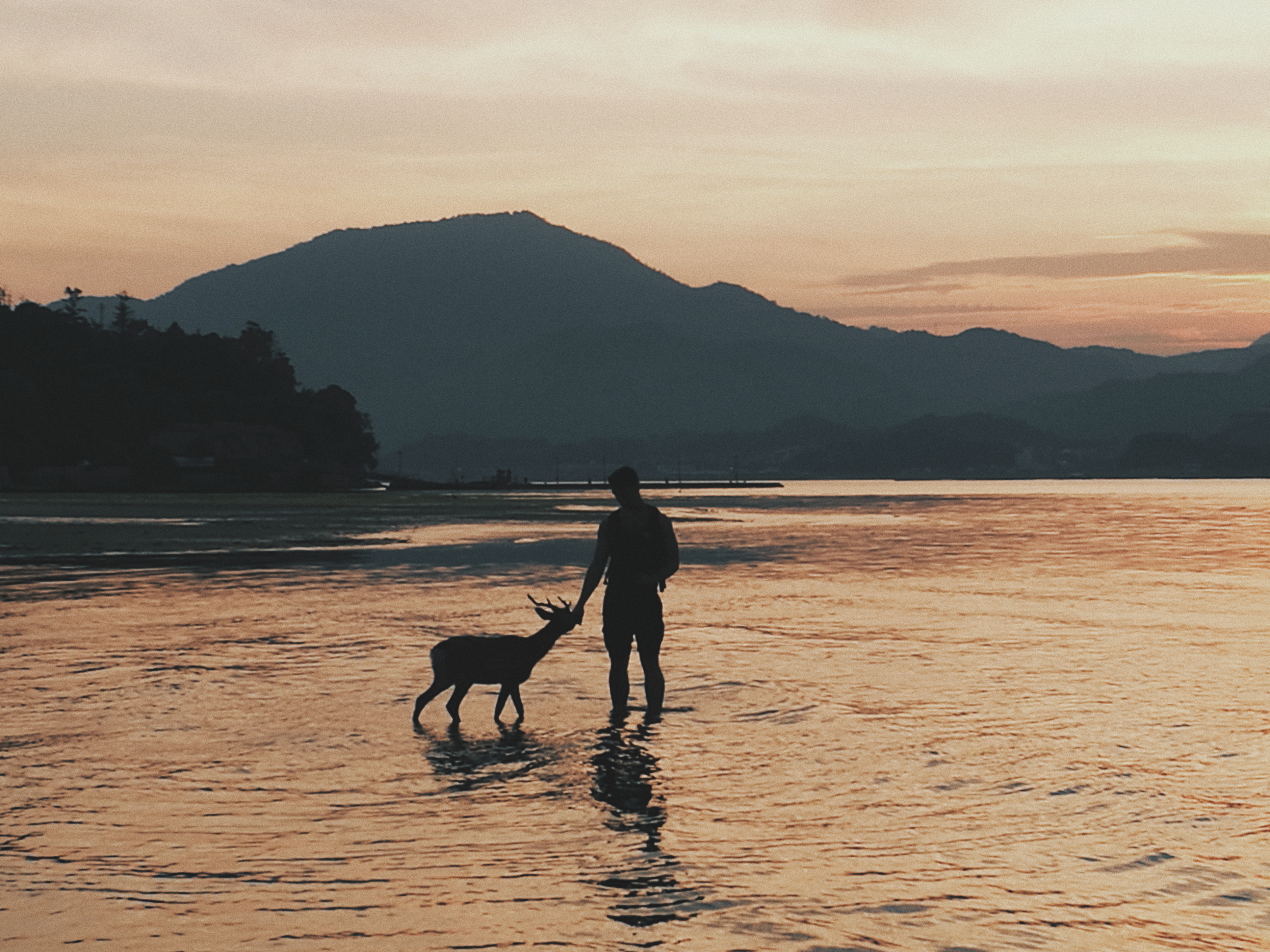 Processed with VSCO with hb2 preset