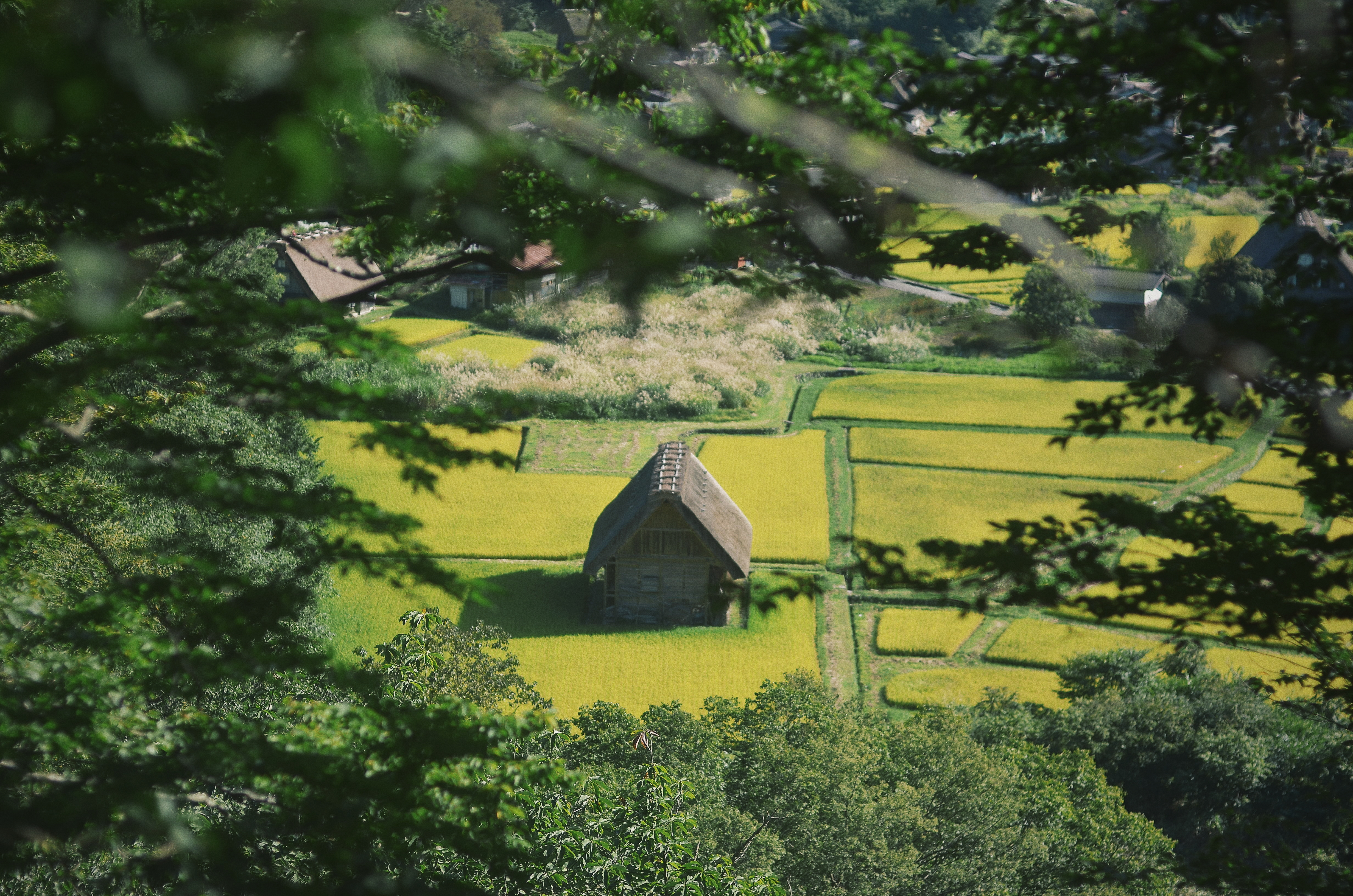 Processed with VSCO with g3 preset